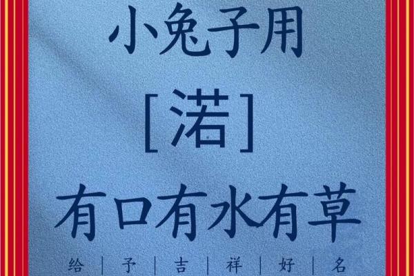 如何给9月份出生的属兔男孩取名字姓名