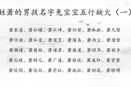 2019年5月6号卯时出生的男孩起名方法姓名