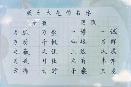 晚上8点出生的属鼠男孩的取名技巧姓名