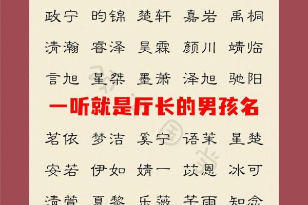属蛇寅时出生的男孩取什么名字,应该用什么字姓名 属蛇寅时出生的男孩取什么名字,应该用什么字姓名