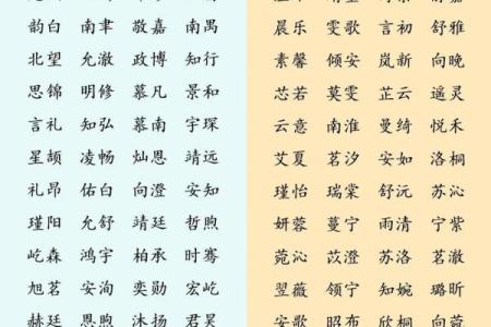 2019年4月30号子时出生的男孩要怎么起名字姓名