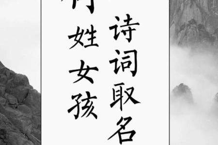 林姓男孩名字大全-林姓男孩起名字大全-林姓名字大全姓名