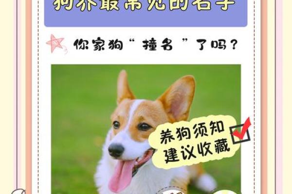 4月份出生的属狗男孩起什么名字好姓名