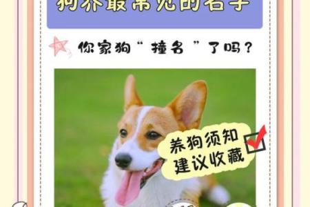 4月份出生的属狗男孩起什么名字好姓名