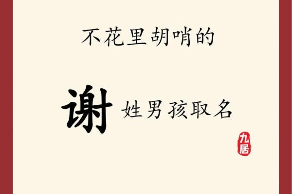 2019年3月22号丑时出生的男孩起名方法姓名