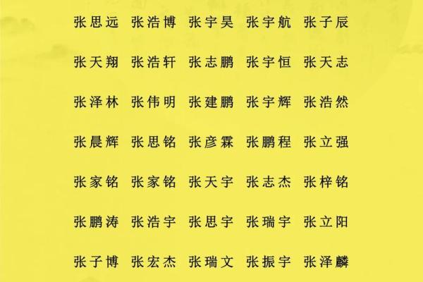 张姓男孩名字大全-张姓男孩起名字大全-张姓名字大全姓名