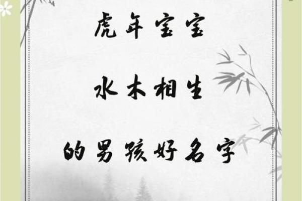 上午11点出生的属虎男孩起什么名，用什么字姓名