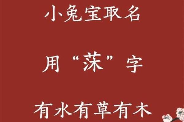 好听的双胞胎名字和起双胞胎名字的五种方法-姓名学-华易网姓名