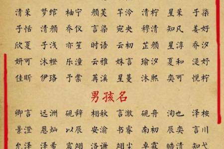 时姓女孩名字大全-时姓女孩起名字大全-时姓名字大全姓名