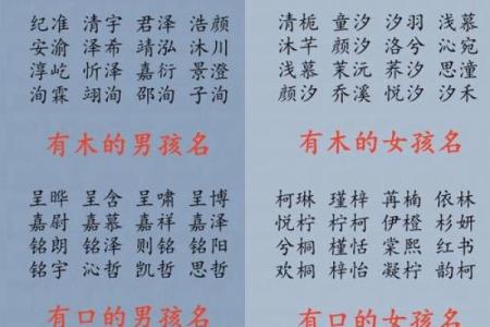 上午出生的属鸡男孩取名字适合用什么字姓名