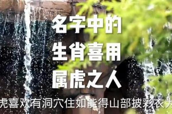 晚上12点出生的属虎男孩起什么名,宜用什么字姓名 晚上12点出生的属虎男孩起什么名,宜用什么字姓名