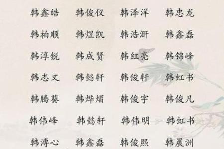 8月份出生的属虎男孩如何取名字好姓名