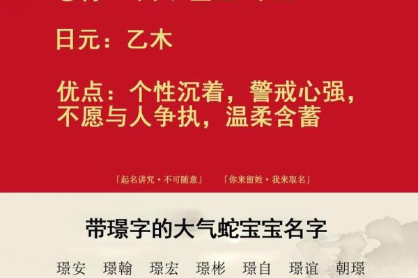 属猪寅时出生的男孩怎么取名字，宜用什么字姓名