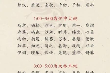 属猪寅时出生的男孩怎么取名字，宜用什么字姓名