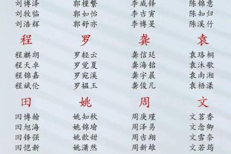 给凌晨3点出生的属猴男孩起名字要用什么字合适姓名