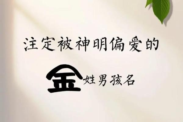 金姓男孩名字大全-金姓男孩起名字大全-金姓名字大全姓名