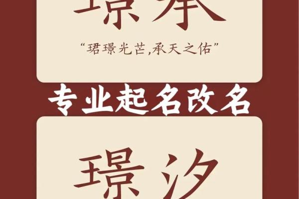 1月份出生的属兔男孩该怎样取名字姓名 1月份出生的属兔男孩该怎样取名字姓名