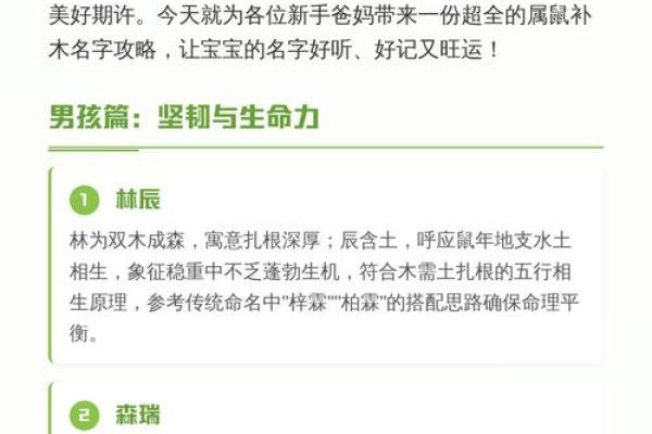 什么字适合给晚上11点出生的属鼠男孩起名姓名 什么字适合给晚上11点出生的属鼠男孩起名姓名