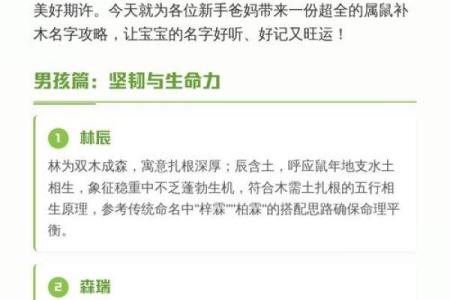 什么字适合给晚上11点出生的属鼠男孩起名姓名