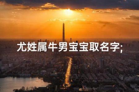早上8点出生的属牛男孩怎么样起名，宜用什么字姓名