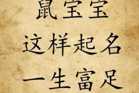 中午出生的属鼠男孩应该如何取名姓名