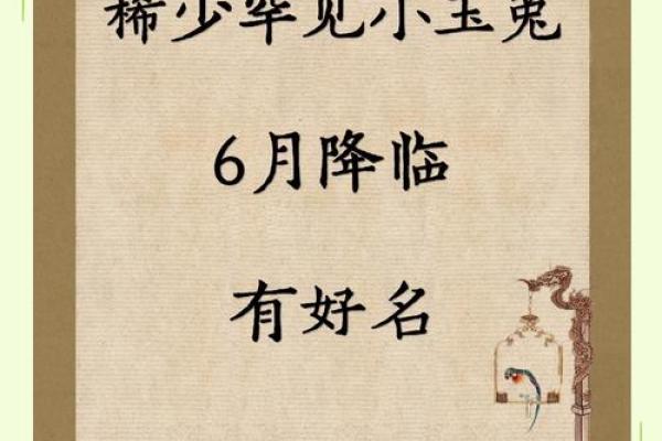 给属兔巳时出生的男孩起名宜用什么字姓名