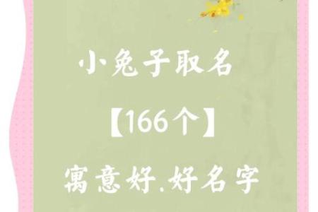 给属兔巳时出生的男孩起名宜用什么字姓名