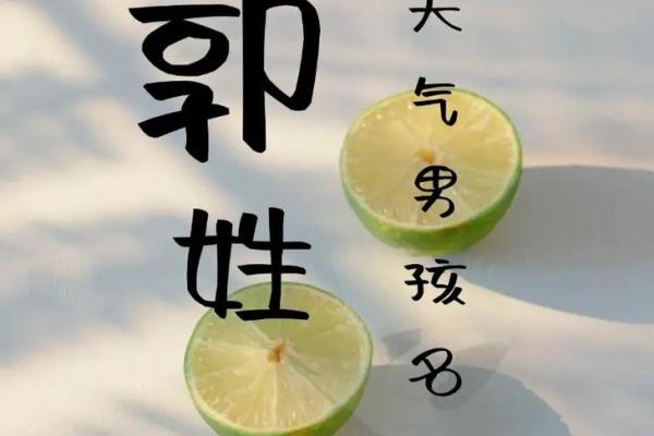 2019年出生的姓郭男孩如何起名,宜用什么字姓名 2019年出生的姓郭男孩如何起名,宜用什么字姓名