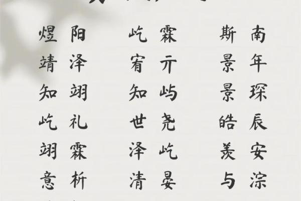 2019年3月28号午时出生的男孩起名方法姓名