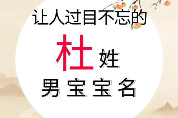 杜姓女孩名字大全-杜姓女孩起名字大全-杜姓名字大全姓名