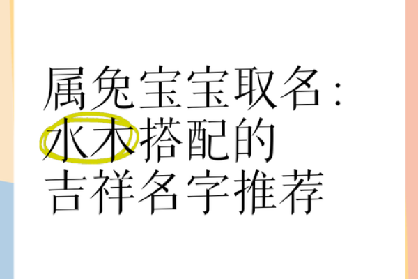 推荐给属兔未时出生的男孩起的名字姓名