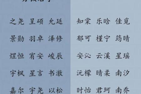 2019年6月19号寅时出生的男孩应该起什么样的名字姓名