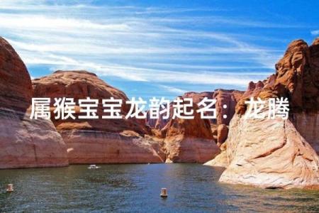 12月份出生的属猴男孩如何取名是好-姓名