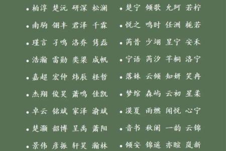 12月份出生的属羊男孩起什么名字好姓名