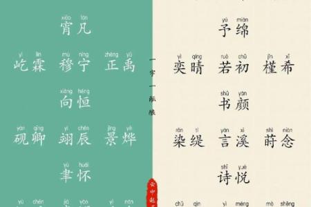 早上十点出生的属猴男孩如何什么名，应用什么字姓名