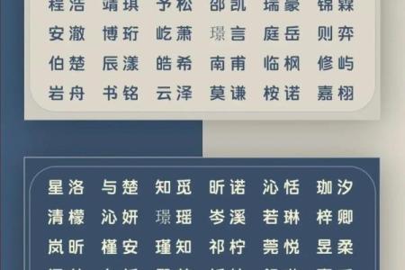 2019年5月12号寅时出生的男孩起名方法姓名