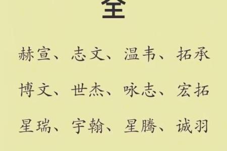 2019年3月19号亥时出生的男孩起名时要注意什么姓名