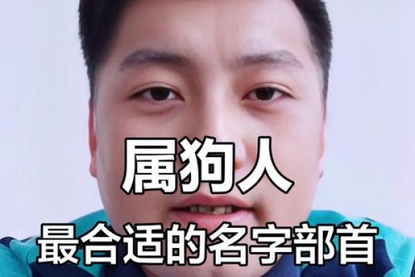 属狗亥时出生的男孩怎样起名,宜用哪些姓名 属狗亥时出生的男孩怎样起名,宜用哪些姓名