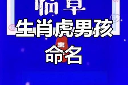 凌晨四点出生的属虎男孩应该取什么名，宜用什么字。姓名
