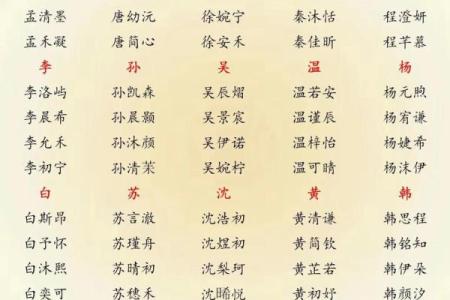 2019年3月20号亥时出生的男孩起名方法姓名