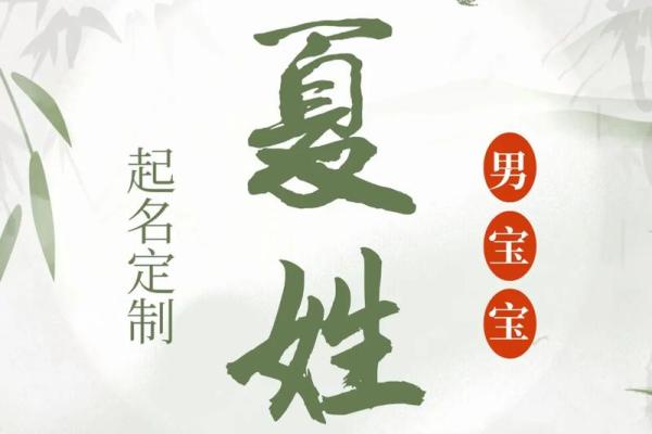 夏姓女孩名字大全-夏姓女孩起名字大全-夏姓名字大全姓名 夏姓女孩名字大全-夏姓女孩起名字大全-夏姓名字大全姓名