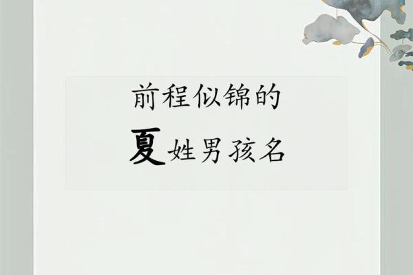 夏姓女孩名字大全-夏姓女孩起名字大全-夏姓名字大全姓名 夏姓女孩名字大全-夏姓女孩起名字大全-夏姓名字大全姓名