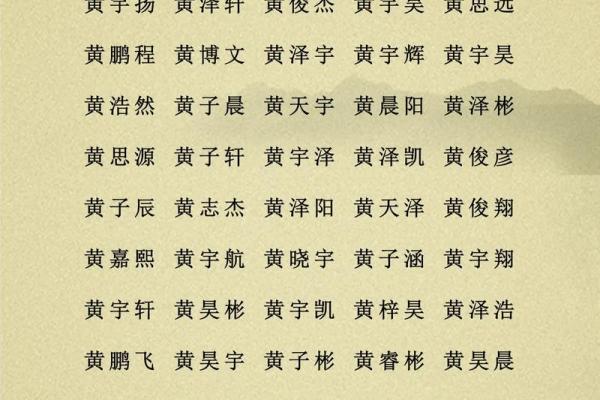 2019年3月27号子时出生的男孩应该起什么样的名字姓名