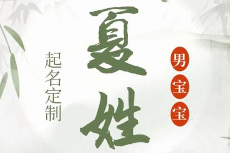 夏姓女孩名字大全-夏姓女孩起名字大全-夏姓名字大全姓名