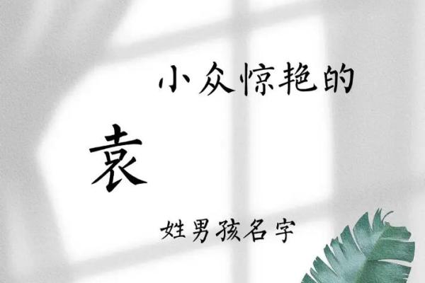 袁姓男孩名字大全-袁姓男孩起名字大全-袁姓名字大全姓名 袁姓男孩名字大全-袁姓男孩起名字大全-袁姓名字大全姓名