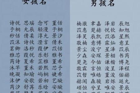 2019年3月22号寅时出生的男孩应该起什么样的名字姓名