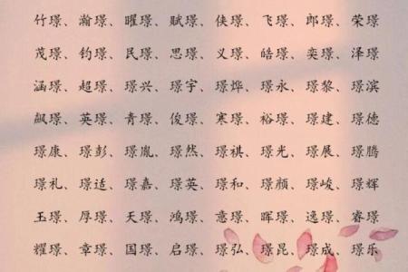 2019年5月29号寅时出生的男孩应该起什么样的名字姓名