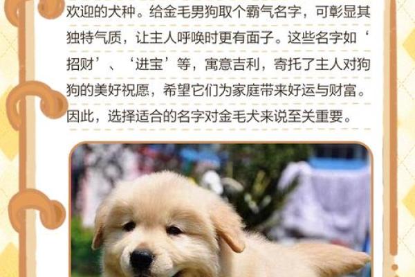 下午三点出生的属狗男孩如何取名,宜用什么字姓名 下午三点出生的属狗男孩如何取名,宜用什么字姓名