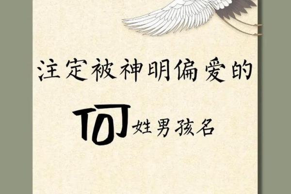 何姓男孩名字大全-何姓男孩起名字大全-何姓名字大全姓名 何姓男孩名字大全-何姓男孩起名字大全-何姓名字大全姓名