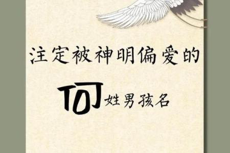 何姓男孩名字大全-何姓男孩起名字大全-何姓名字大全姓名